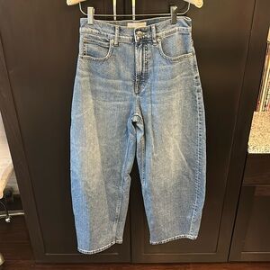 Everlane The High Way Barrel Jean